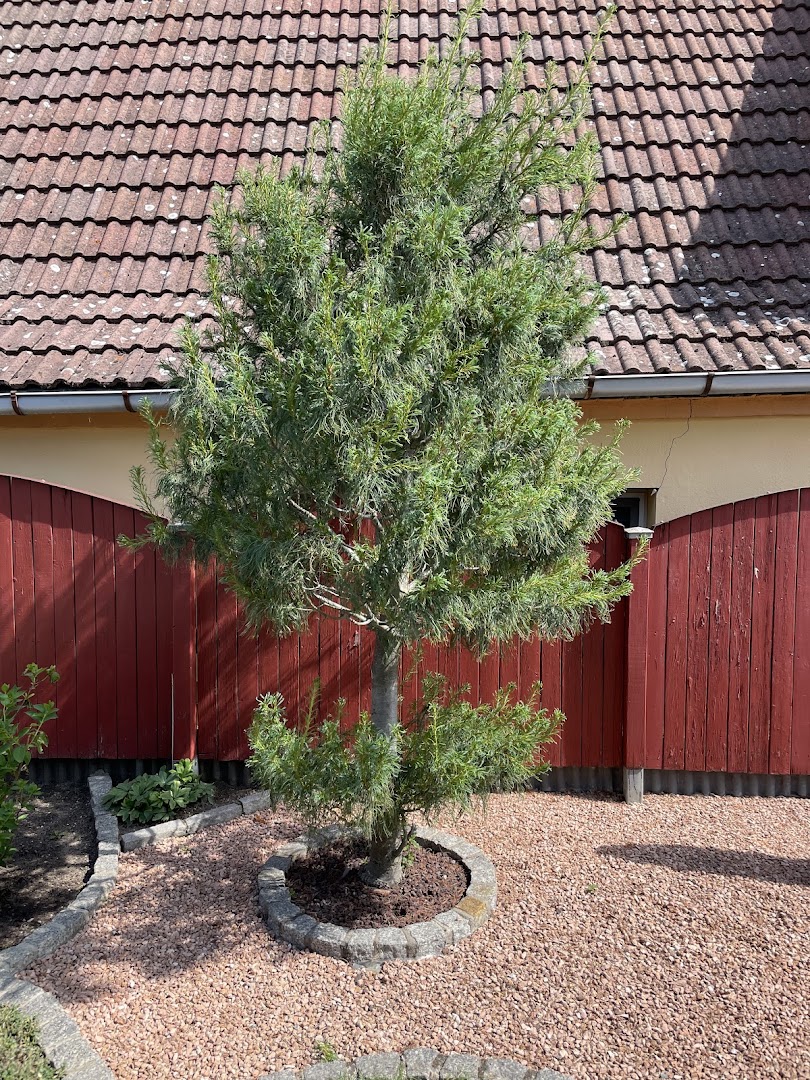 Renaldo Hörnig Hausmeisterservice — Fotos 13