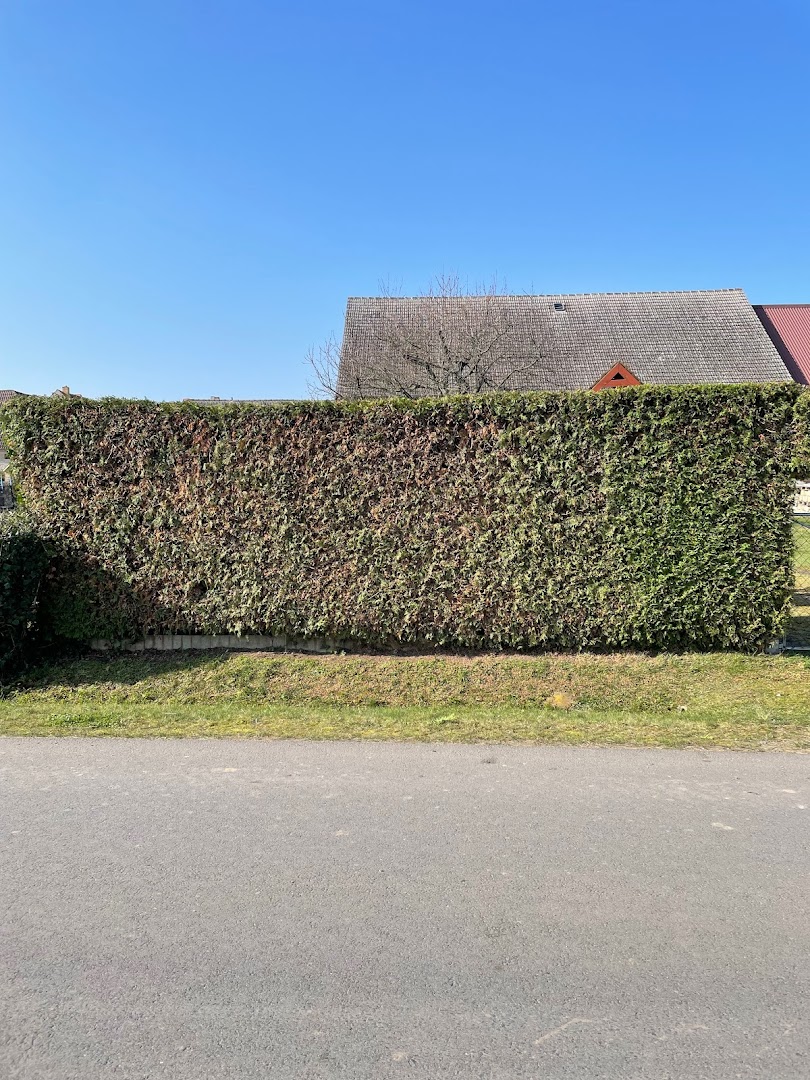 Renaldo Hörnig Hausmeisterservice — Fotos 14