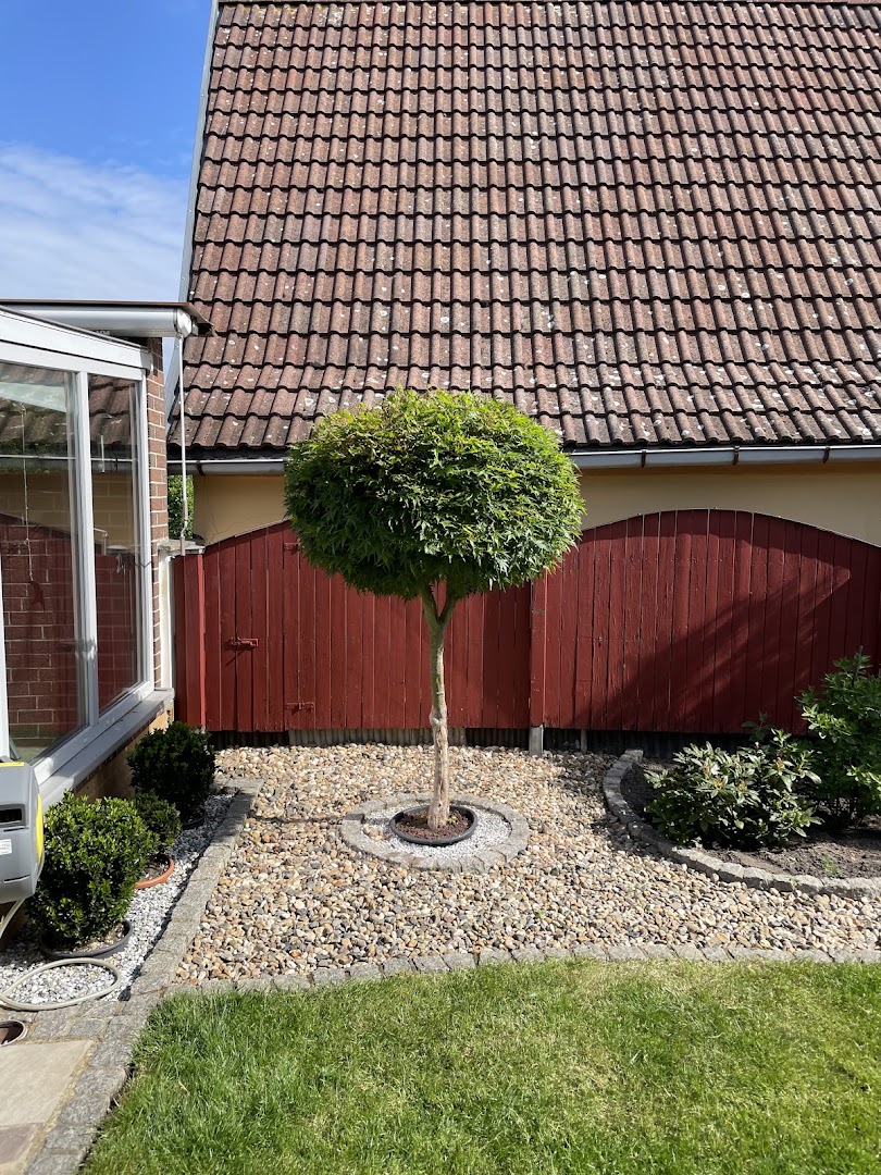 Renaldo Hörnig Hausmeisterservice — Fotos 10