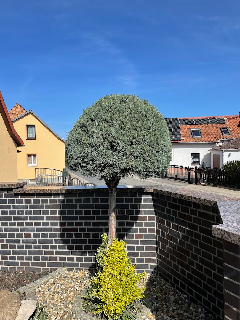 Renaldo Hörnig Hausmeisterservice — Fotos 3