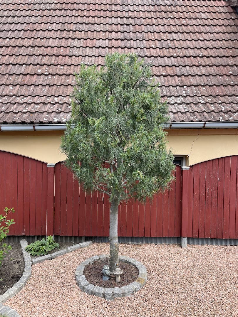 Renaldo Hörnig Hausmeisterservice — Fotos 15