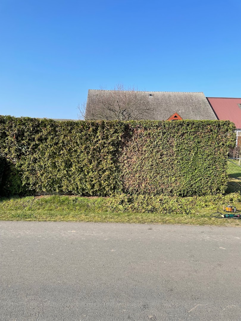 Renaldo Hörnig Hausmeisterservice — Fotos 7
