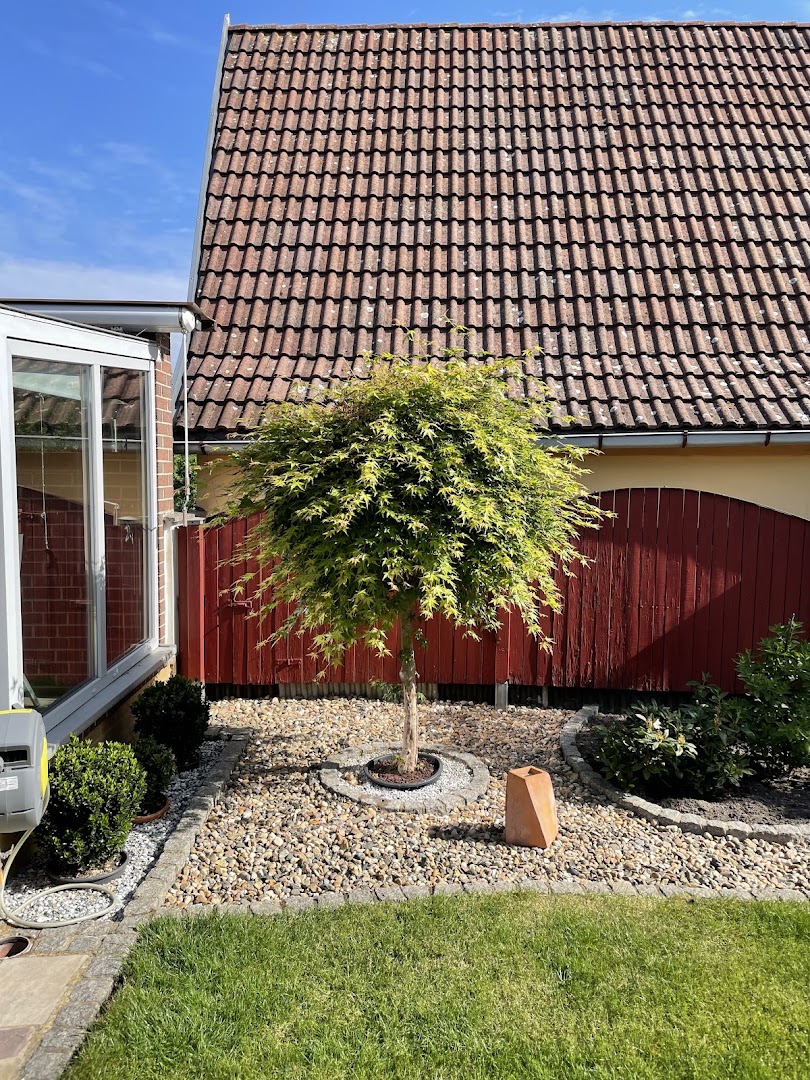 Renaldo Hörnig Hausmeisterservice — Fotos 6