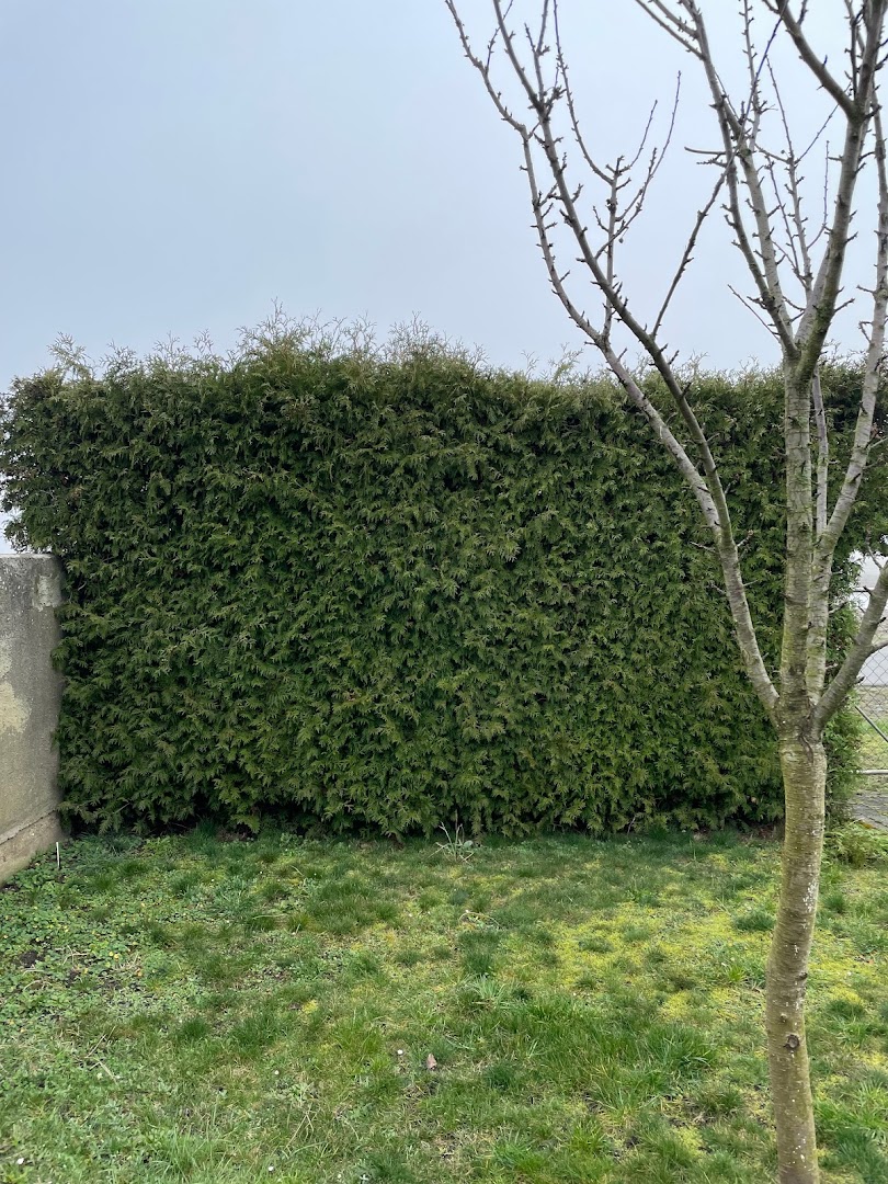 Renaldo Hörnig Hausmeisterservice — Fotos 5