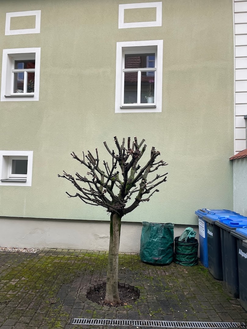 Renaldo Hörnig Hausmeisterservice — Fotos 2