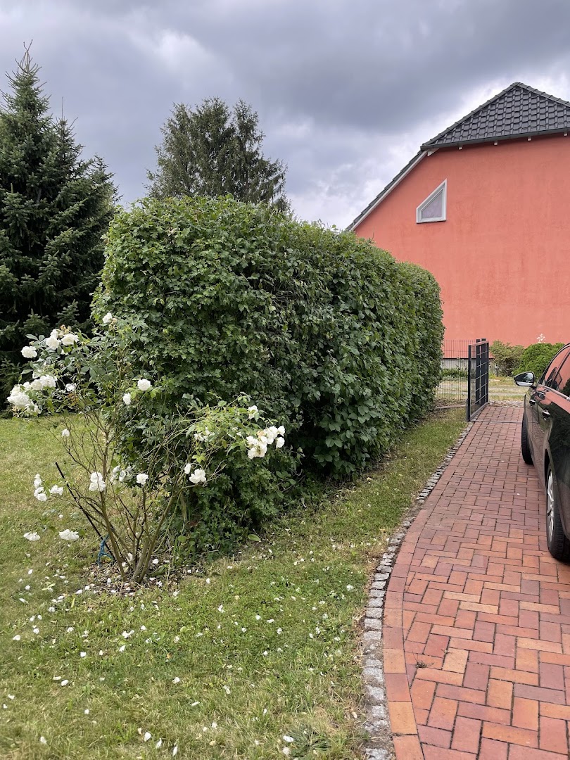 Renaldo Hörnig Hausmeisterservice — Fotos 9